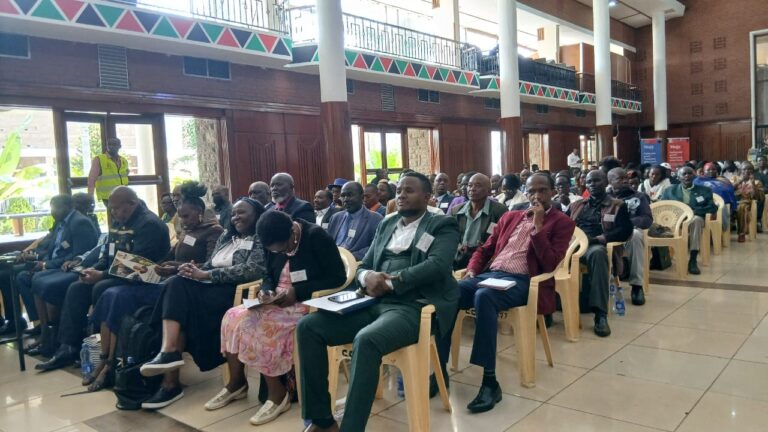 WhatsApp Image 2025-12-13 at 12.43.43 PM